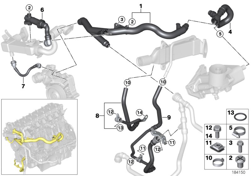 Cooling System Water Hoses