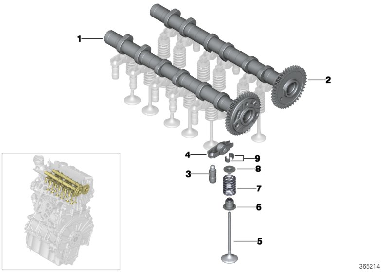 Timing and valve train-camshaft