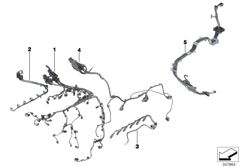 Engine wiring harness