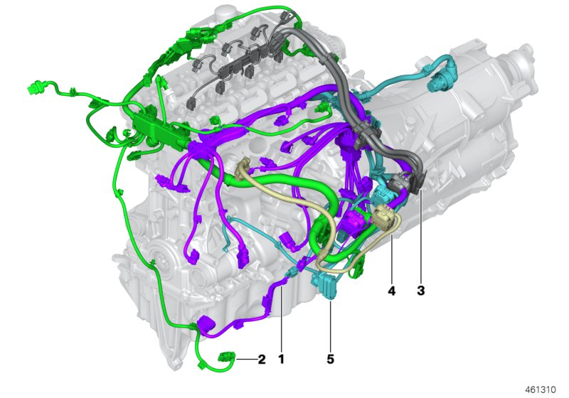 Engine wiring harness
