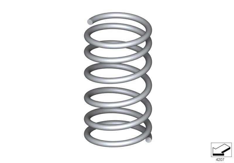 Coil spring, rear