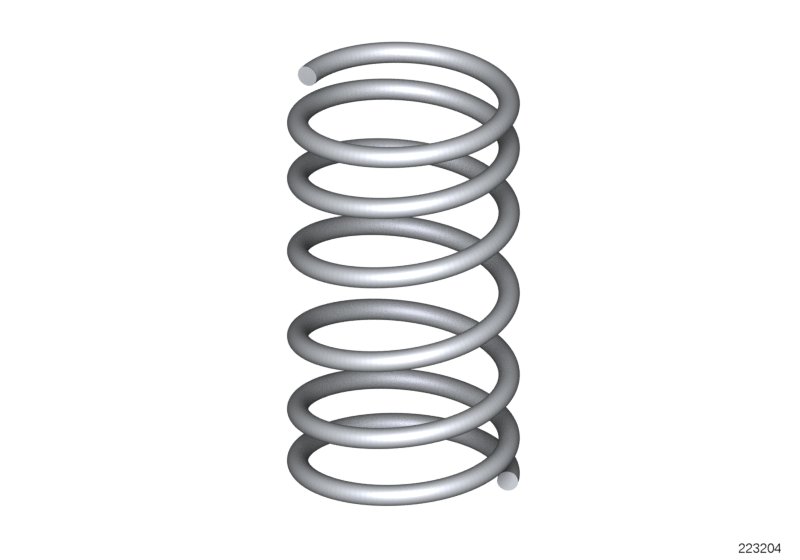 Coil spring, rear