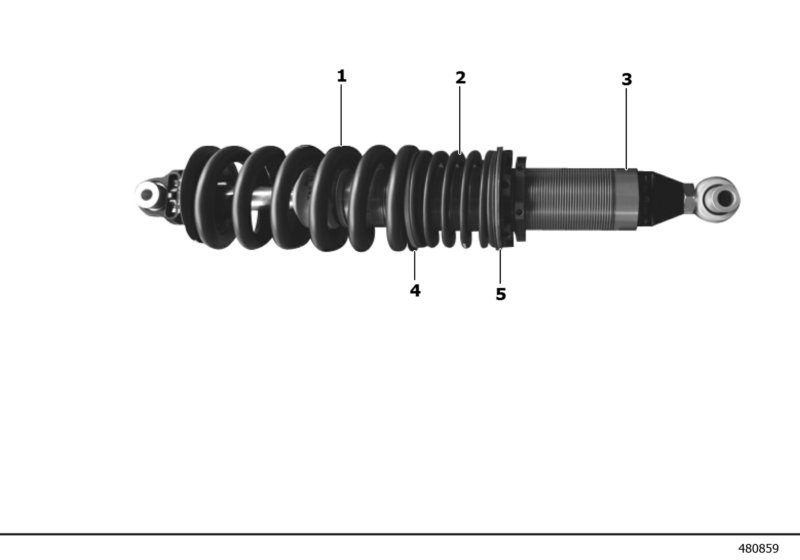 Rear axle suspension