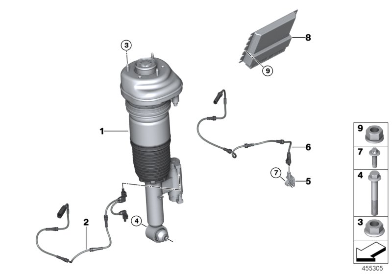 Air spring strut, rear/control units