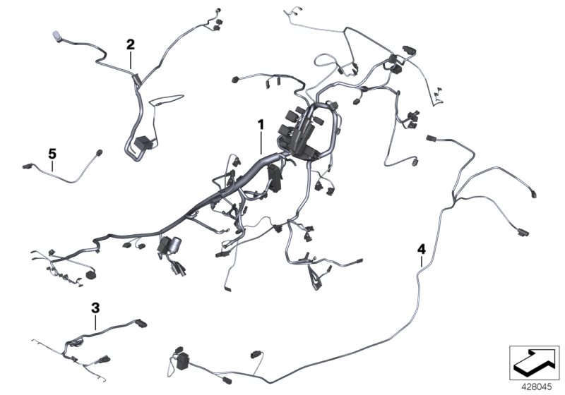 Main wrng.harness/Tail part wrng.harness